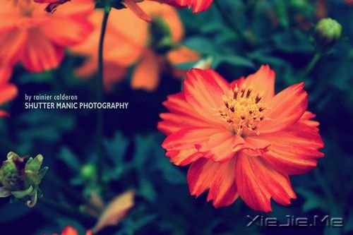 若现在就觉得失望无力,未来那么远你该怎么扛 (9)