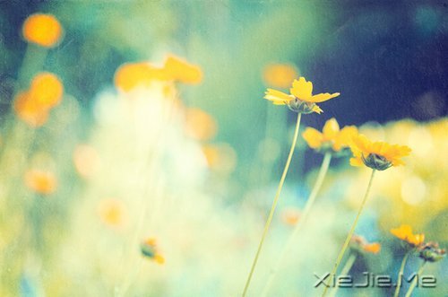 不争,也有属于你的世界 (5)