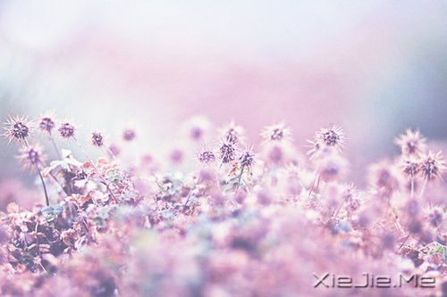 不争,也有属于你的世界 (7)