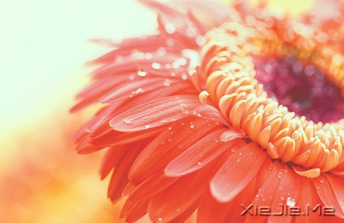 ������;���������� (5)