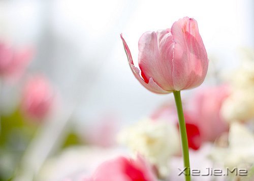 ������;���������� (10)