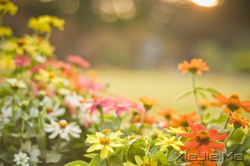 做最真实的自己,才是最好的 (5)