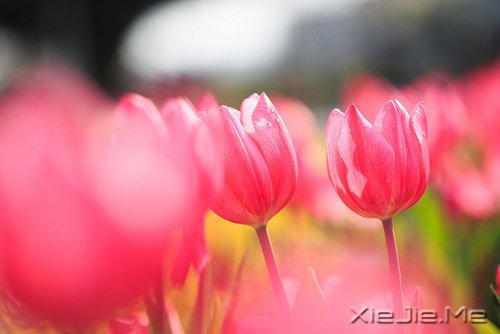 做最真实的自己,才是最好的 (6)