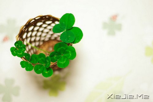 成熟,不是看破,而是看淡 (1)