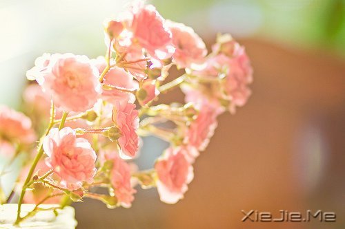 �Ҳ��³��󣬶�����������ȥ (1)