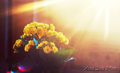 �Ҳ��³��󣬶�����������ȥ (6)