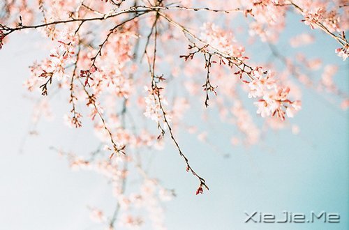 ������ֻ��Ҫһ��������΢Ц (4)