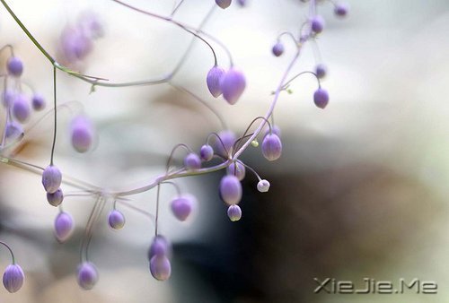 只要内心不乱,外界就很难改变你什么 (9)