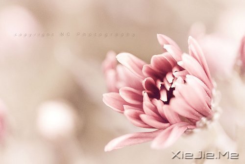 ������;���߹���֪��ǳ (6)