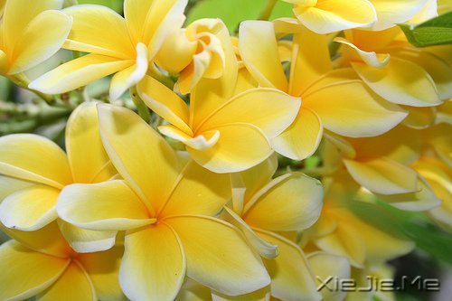 无论好坏,明天都会到来 (9)