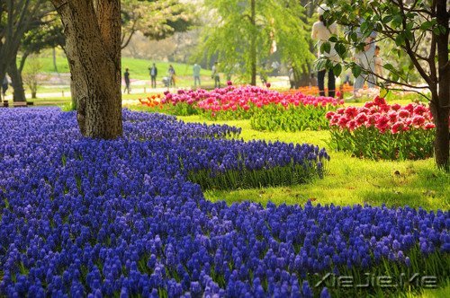 不要嘲笑别人的疤,那只是你没有经历过的伤 (3)