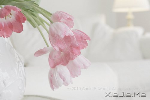 �Ҹ������Ǵ����ﶬ����Ȼ���� (1)