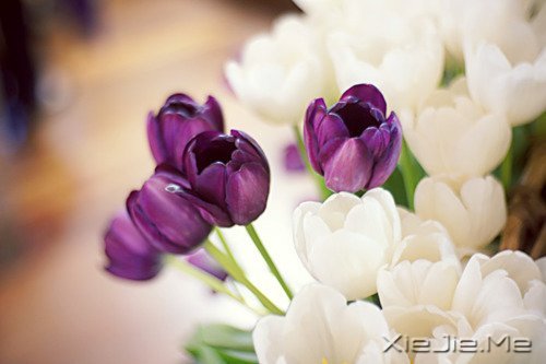 �簲������ʱ����Ե��ˣ�һ��Ҳ�Ͳ������ (4)