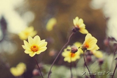 留下的,才是人生 (9)