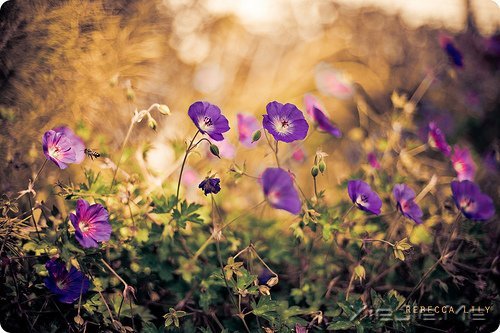 �簲����໰�Ȼ��Ըɾ�һǧ�� (4)