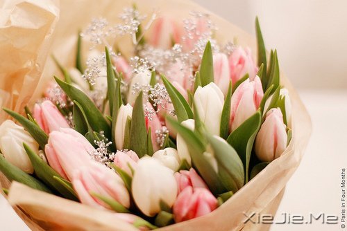 早安心语:别为不该为的人,伤了不该伤的心 (10)