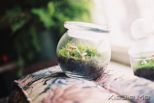 晚安心语:生活是场修行,活的是一种心境 (5)