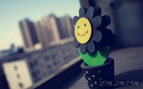 晚安心语:你看到什么样的世界,你就拥有什么样的内心 (10)