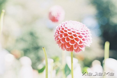 晚安心语:人不怕走在黑夜里,就怕心中没有光 (9)