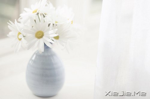 早安心语:轻轻的呼吸,浅浅的微笑 (2)