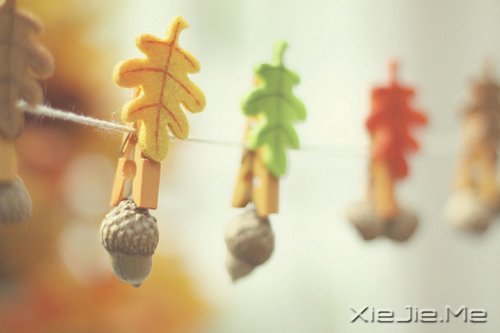 �簲����������ģ�����ʼ�� (8)