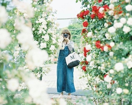 �������ѡ��������£�ڹ�Ϳ��������� (9)