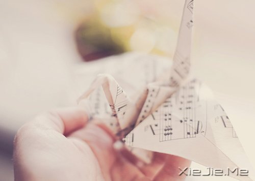 最美好的总会在不经意间出现 (10)