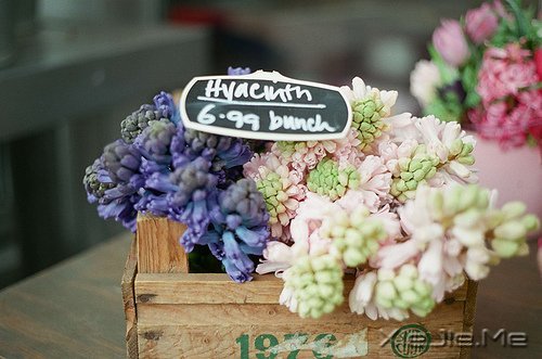 这山长水远的道路,终究是要自己走下去 (7)