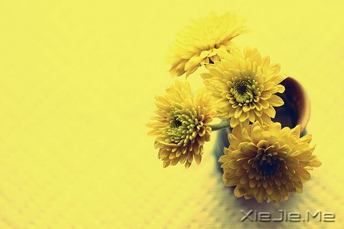 �������յ㣬��΢Цһֱ��ǰ (4)