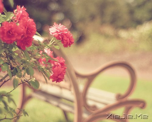 �ʵ��ķ��������������ŵ�ת�� (5)