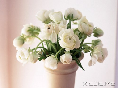 早安心语:淡然一切,往事如烟 (3)