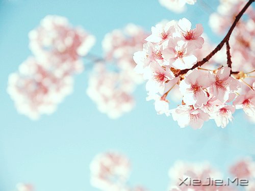 �������΢Ц��ȥ�ȴ�������õ��Լ� (5)