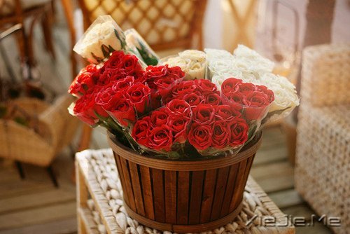 �������΢Ц��ȥ�ȴ�������õ��Լ� (10)