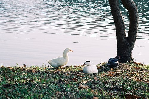 做一个微笑挂在嘴边,快乐放在心上的人 (4)