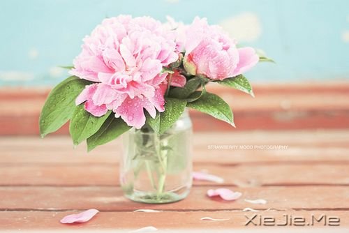 晚安心语:勇敢生活,微笑面对 (6)