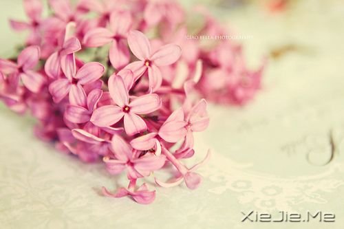 �������Ը���Ϊ�Լ���̫�� (1)