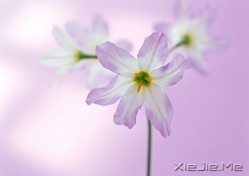 ��������������������������ȥ (6)