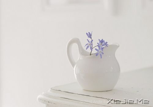 �簲�������һ������ȥ���������������� (8)