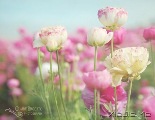 �簲�����ֻ��Ц�ĺܻ������˲Ų��ᱻ���� (7)