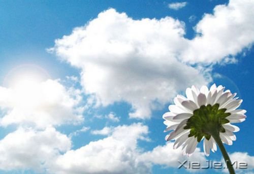 ���������������ˮ�����ĵף��۾�ֻ��һ��СС�ĳ��� (9)