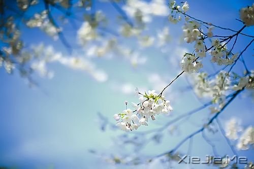 �������������Ҳ������������� (8)