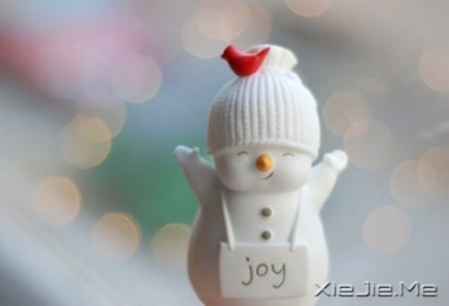 我要的爱,无非就是你一直在 (3)