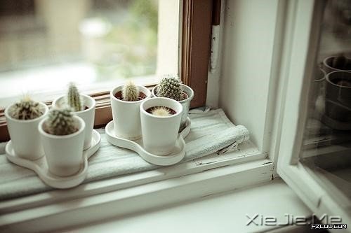 �簲���·���Ŀ��֣�ֻ���Լ�֪�� (6)