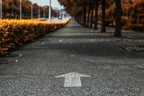 �簲����е�·��Ҫ��ȥ�� (10)