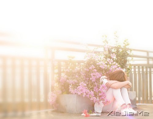 早安心语:如果我不这么在乎,生活会简单得多 (3)