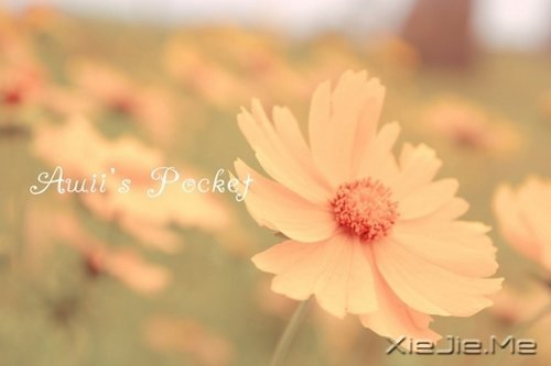 �簲�����δ���������������ǰ�һ���׸����� (9)