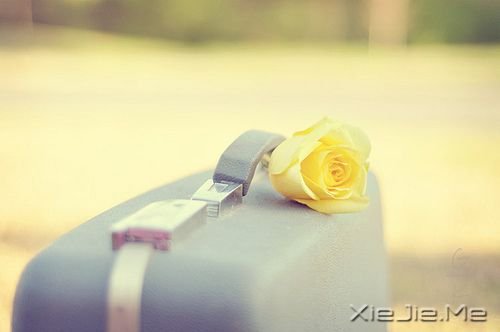 �簲�������������������������� (8)