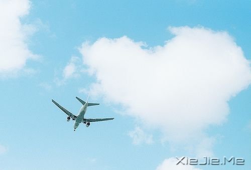 �簲���������ֻ��һ���� (8)