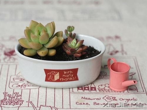 早安心语:勇敢说出你的想法,哪怕声音会颤抖 (4)