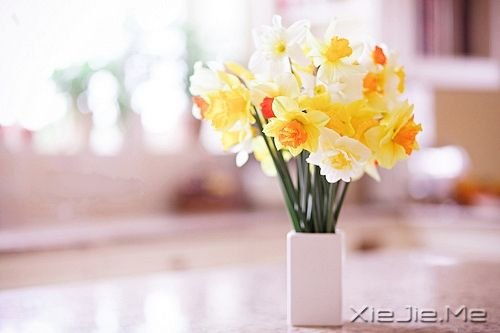 ����������ҹ���Żῴ���������ǹ� (7)